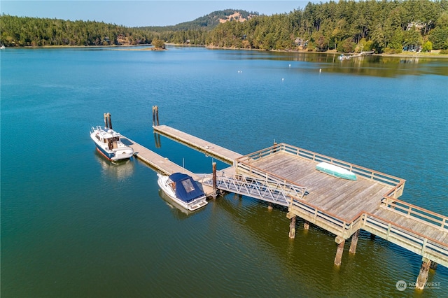 view of dock with a water view and a view of trees