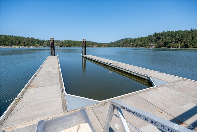 dock area featuring a water view and a view of trees