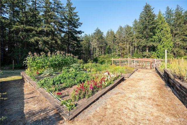 view of yard with a garden and a forest view