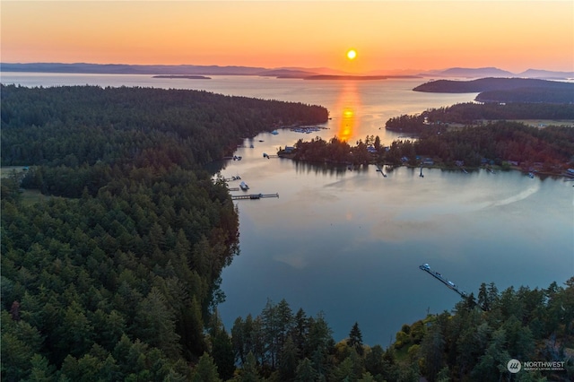 water view featuring a forest view and a mountain view