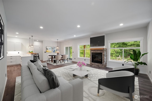 living room featuring wood-type flooring and a stone fireplace