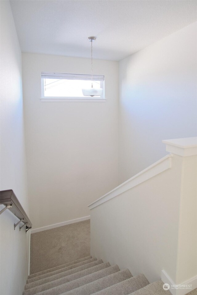 stairs with carpet floors