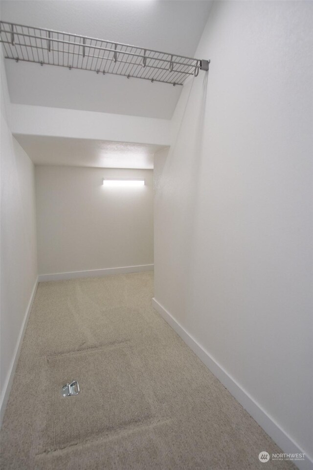 spacious closet with carpet flooring