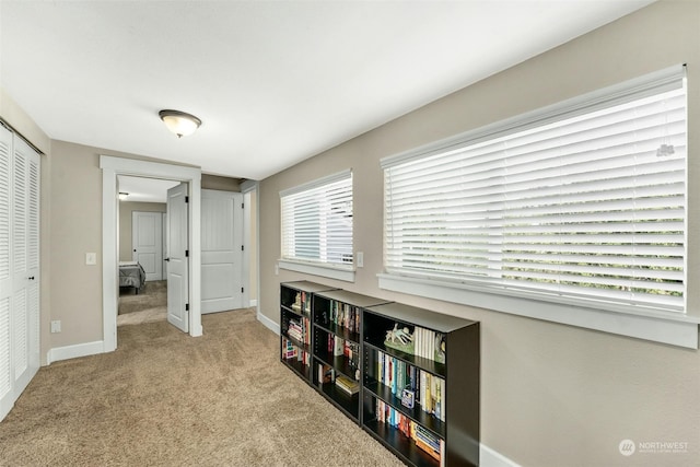 interior space with light colored carpet and a closet