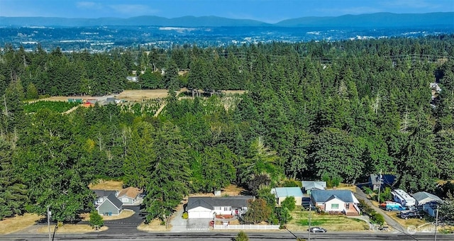 drone / aerial view with a mountain view