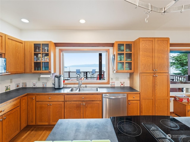 kitchen with dark countertops, glass insert cabinets, wood finished floors, stainless steel appliances, and a sink