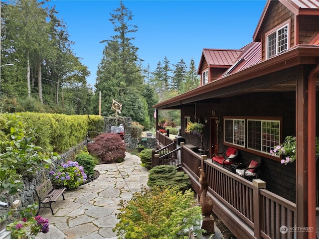 view of yard featuring a patio