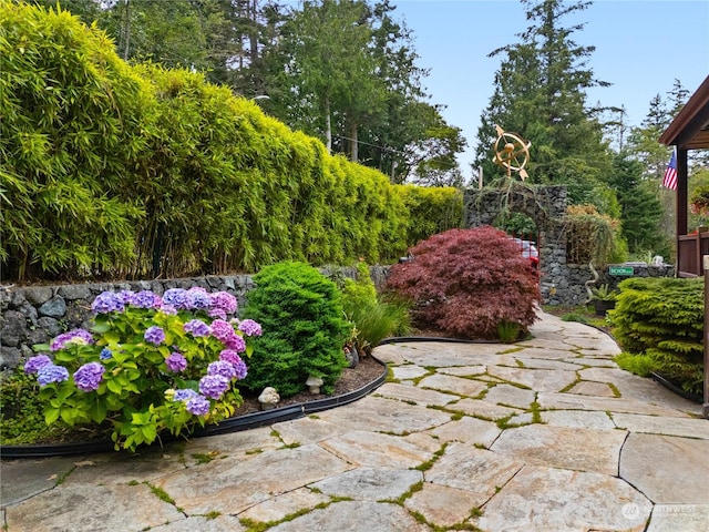 view of yard with a patio area