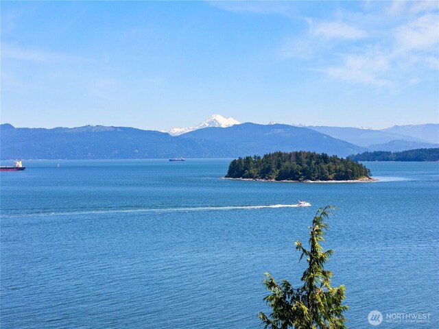 4623 Guemes Island Rd, Anacortes, WA 98221 - photo 36