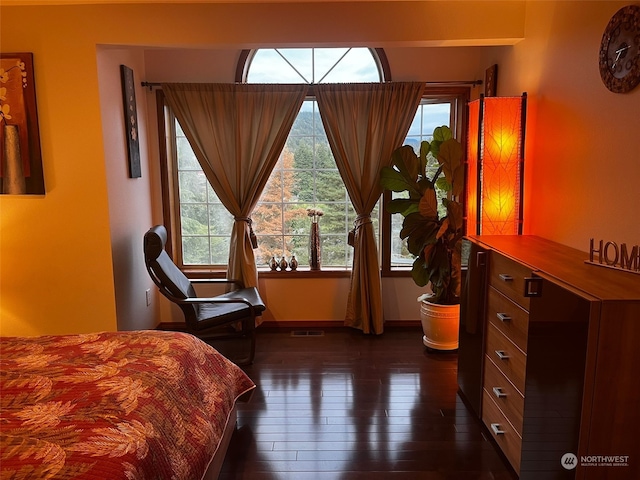 bedroom featuring dark wood-type flooring