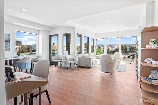 living room featuring light hardwood / wood-style floors