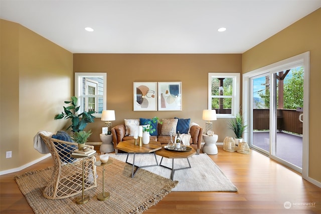 living room featuring hardwood / wood-style flooring