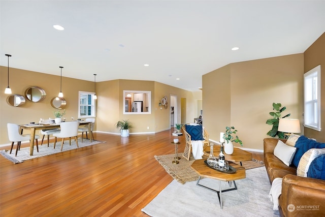 living room featuring light hardwood / wood-style floors