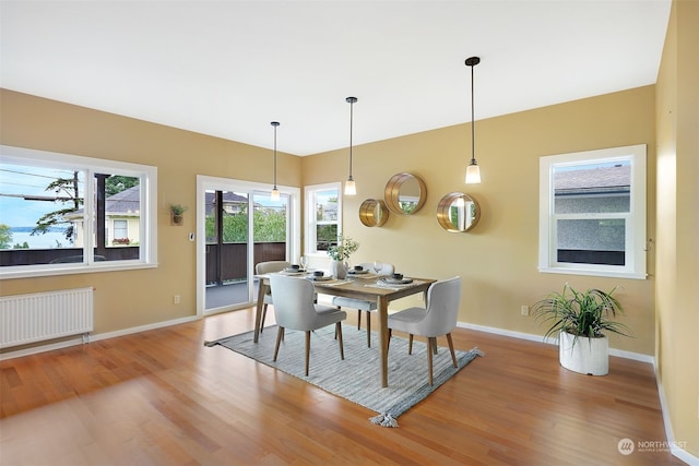 dining room featuring light wood-type flooring and radiator