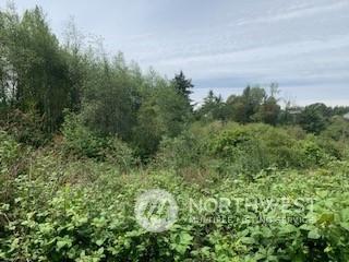 5836 S Mason Ave, Tacoma, WA 98409 - photo 5