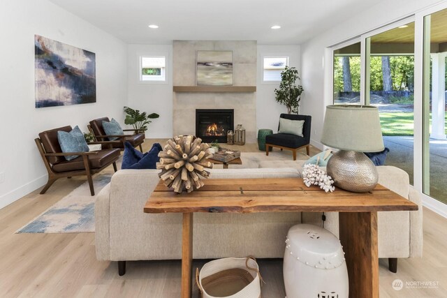 living room featuring light wood-type flooring and a fireplace