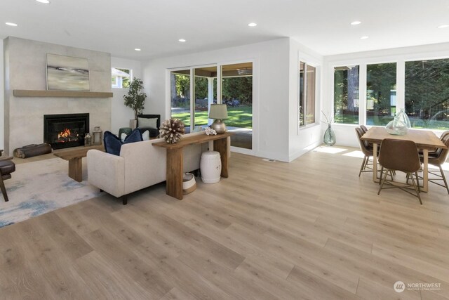 living room featuring a premium fireplace and light hardwood / wood-style floors