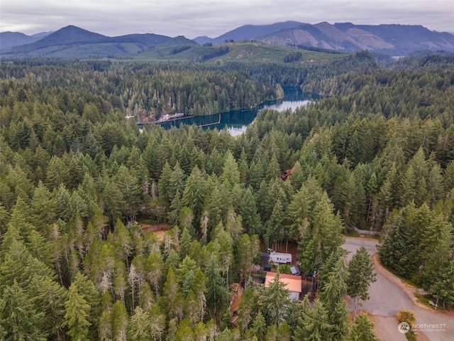 bird's eye view featuring a mountain view