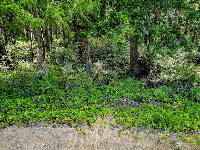 10205 Eckenstam Johnson Rd, Anderson Island WA, 98303 land for sale