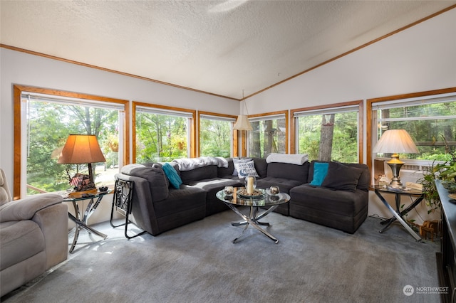 carpeted living room with a textured ceiling, vaulted ceiling, and a healthy amount of sunlight