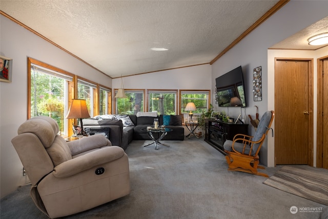 carpeted living room with a wealth of natural light, lofted ceiling, a textured ceiling, and ornamental molding