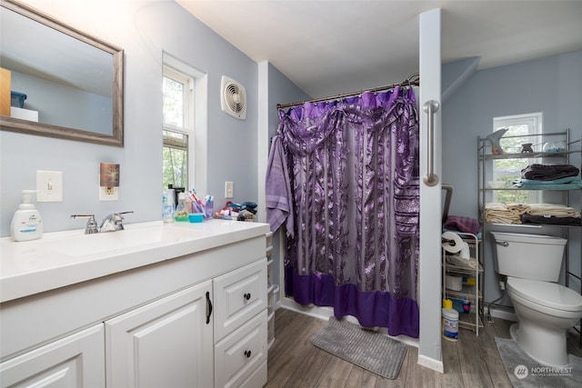 bathroom with toilet, vanity, and wood-type flooring