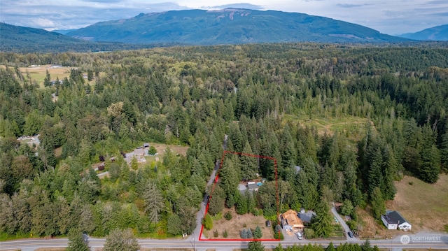 drone / aerial view with a mountain view