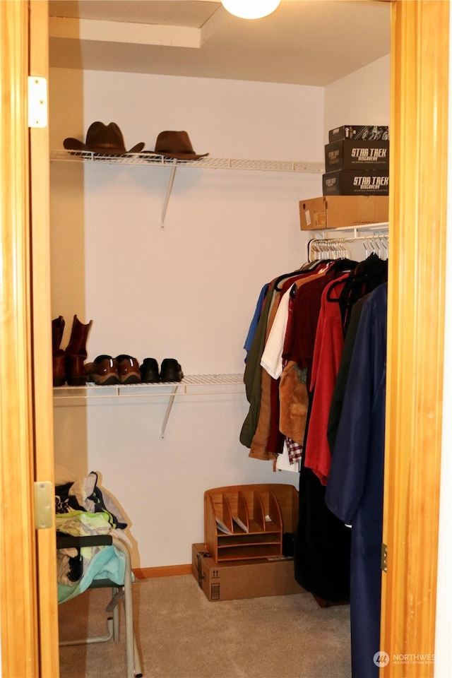 walk in closet featuring carpet