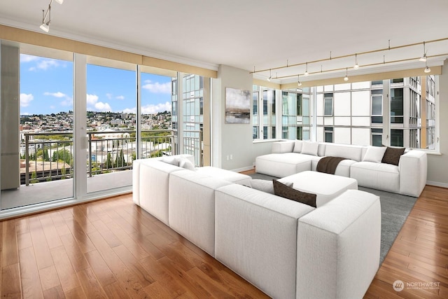 living area featuring a wall of windows, baseboards, track lighting, and wood finished floors