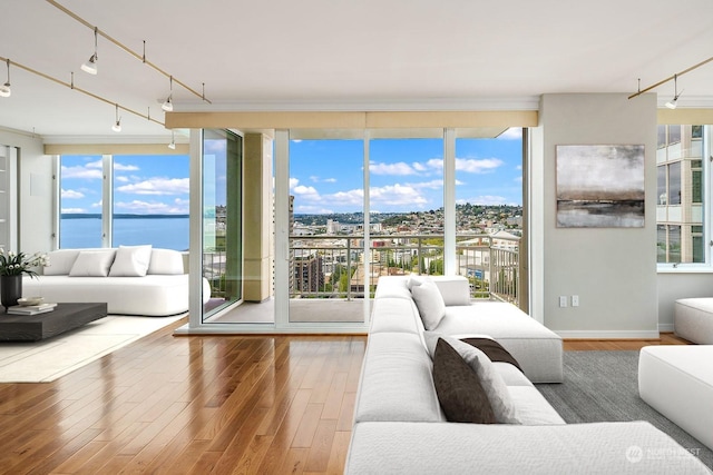 living room with a healthy amount of sunlight, a water view, track lighting, and wood finished floors