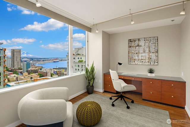 home office with a view of city, a water view, light wood-style flooring, and a healthy amount of sunlight