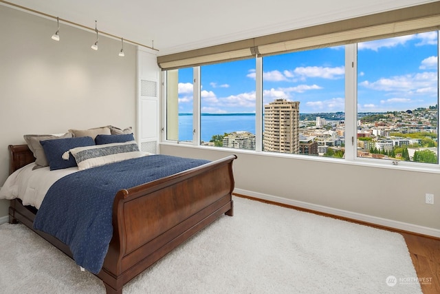 bedroom featuring a water view, a city view, baseboards, and wood finished floors