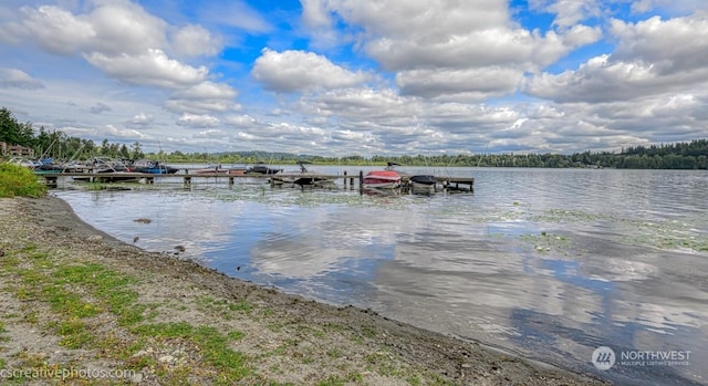 view of dock featuring a water view