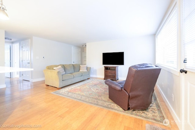 living room with hardwood / wood-style floors