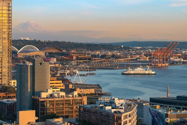 property's view of city featuring a water view