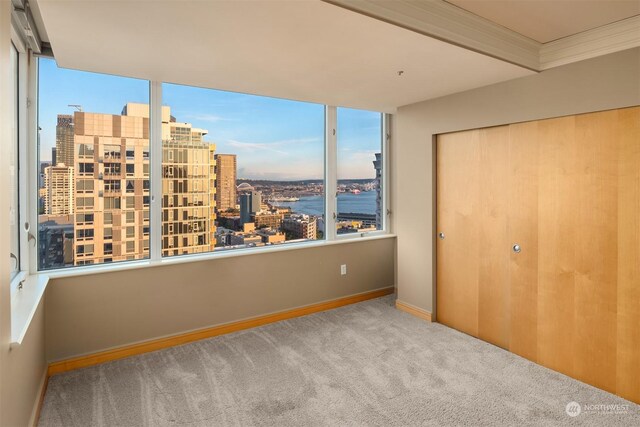 unfurnished bedroom featuring multiple windows, crown molding, a closet, and a water view