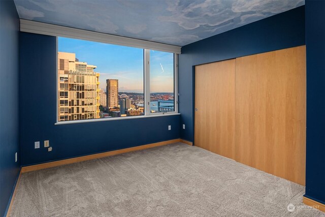 unfurnished bedroom with a closet and carpet floors