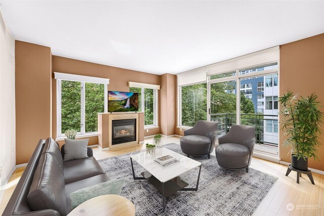 living room with light hardwood / wood-style floors