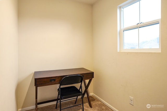 home office with carpet floors