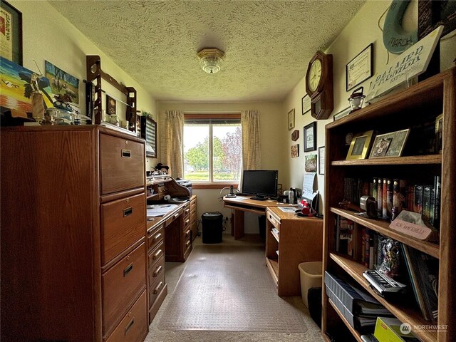 carpeted office with a textured ceiling