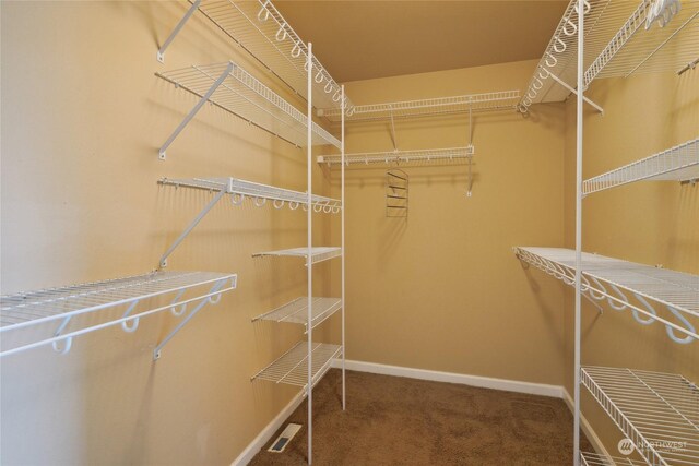 403 N I St, Tacoma, WA 98403 - walk in closet featuring visible vents and carpet floors