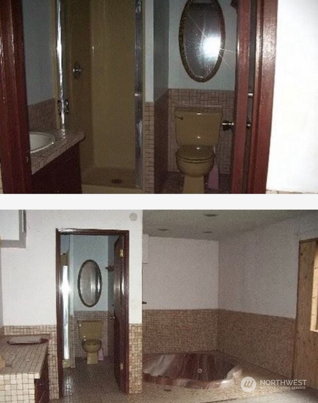 interior space with toilet, a shower, and vanity