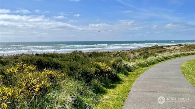 view of water feature featuring a beach view