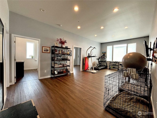 interior space featuring hardwood / wood-style floors and a healthy amount of sunlight