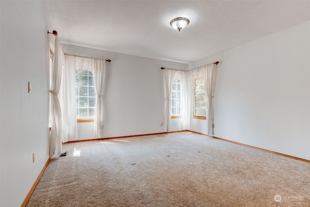 carpeted empty room featuring a healthy amount of sunlight