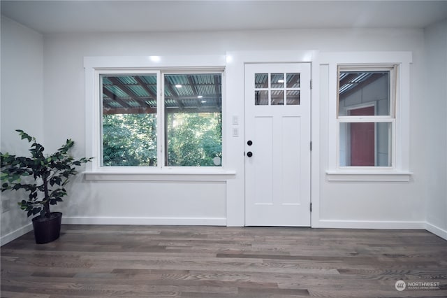 entrance foyer featuring dark wood-type flooring