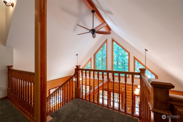 stairs featuring ceiling fan, vaulted ceiling with beams, and carpet floors