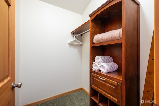 walk in closet featuring carpet