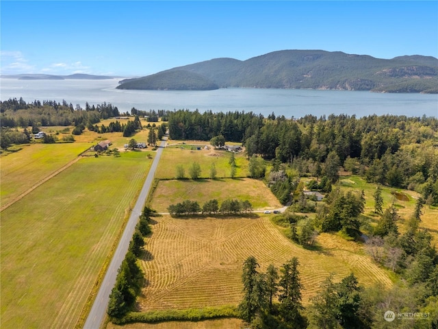 bird's eye view with a water and mountain view