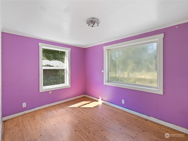 spare room with ornamental molding and hardwood / wood-style flooring